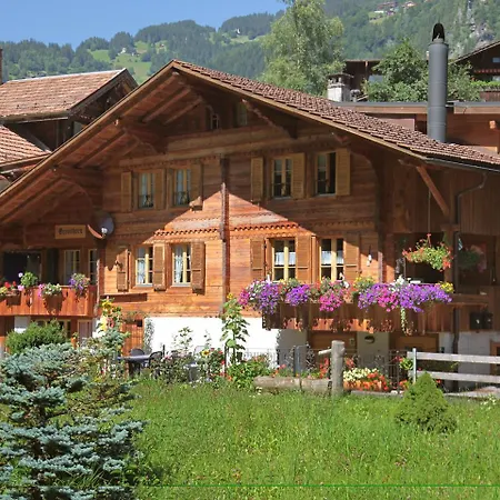 Grosshorn By Interhome Apartment Lauterbrunnen